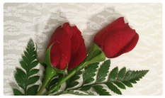 DNSEMP-C-058 2 Roses Red